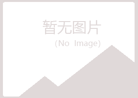 保山向雪化学有限公司